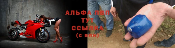 круглые Белокуриха